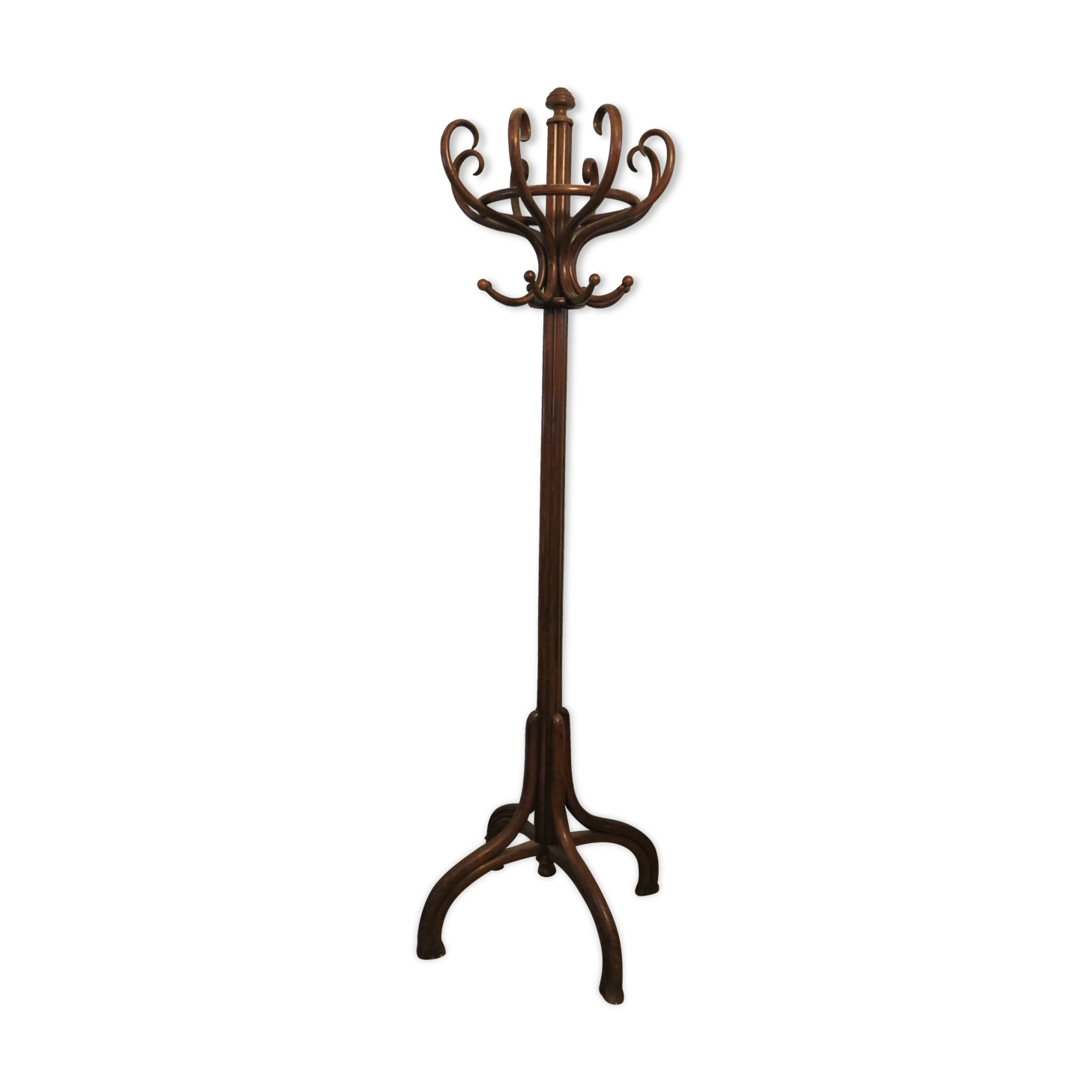Thonet parrot coat holder