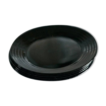 6 assiettes en verre noir « aechmea »
