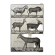 Livre XVIIIe buffon, bonnaterre, histoire naturelle, quadrupèdes, mammifères