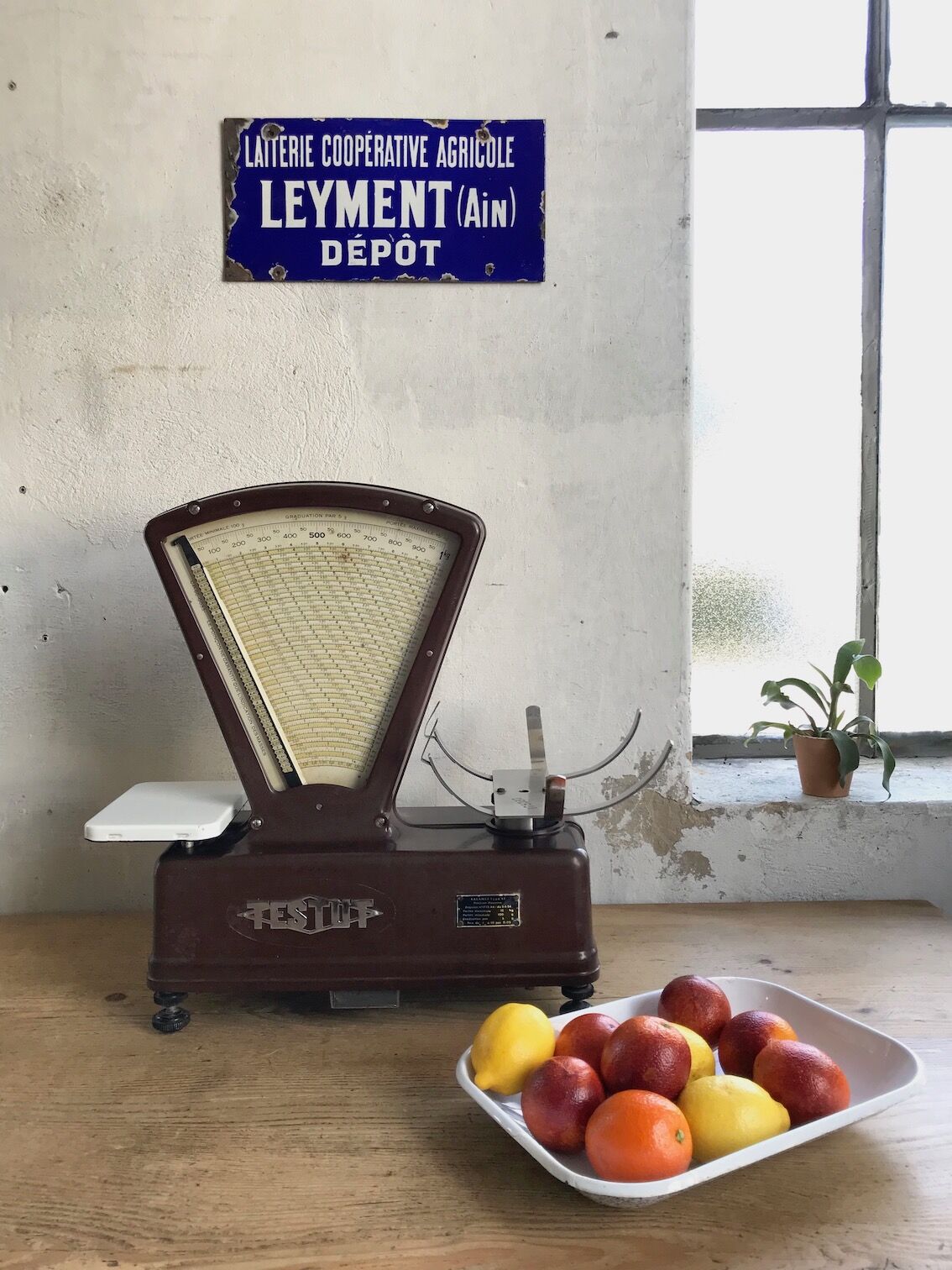 Testut scale in bakelite