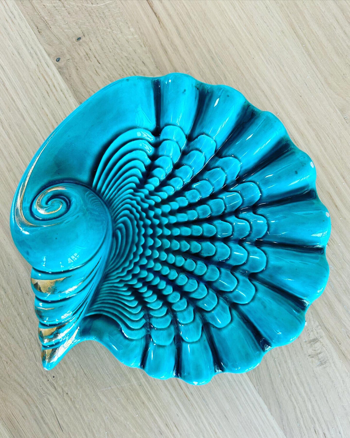 Verceram shell pocket empty