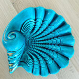 Verceram shell pocket empty