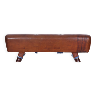 Vintage Czech Leather Gymnastics Bench Pommel Horse wooden Handels Top 1930