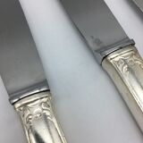 12 silver metal knives.