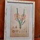 Framed botanical board