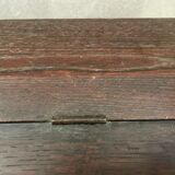 Nineteenth century oak travel writer