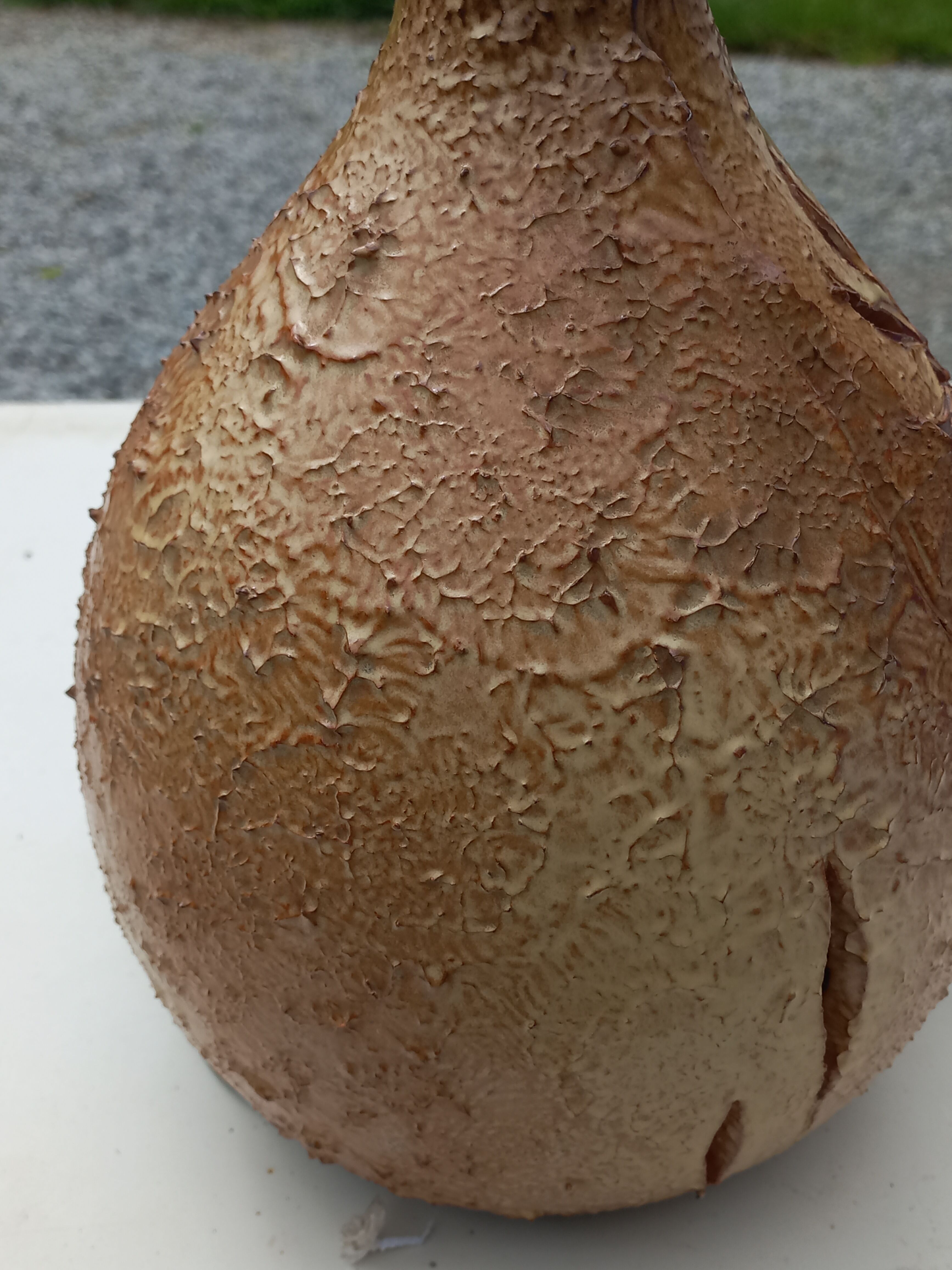 Ceramic lamp by Vallauris Fonck and Matéo lampshade of origin