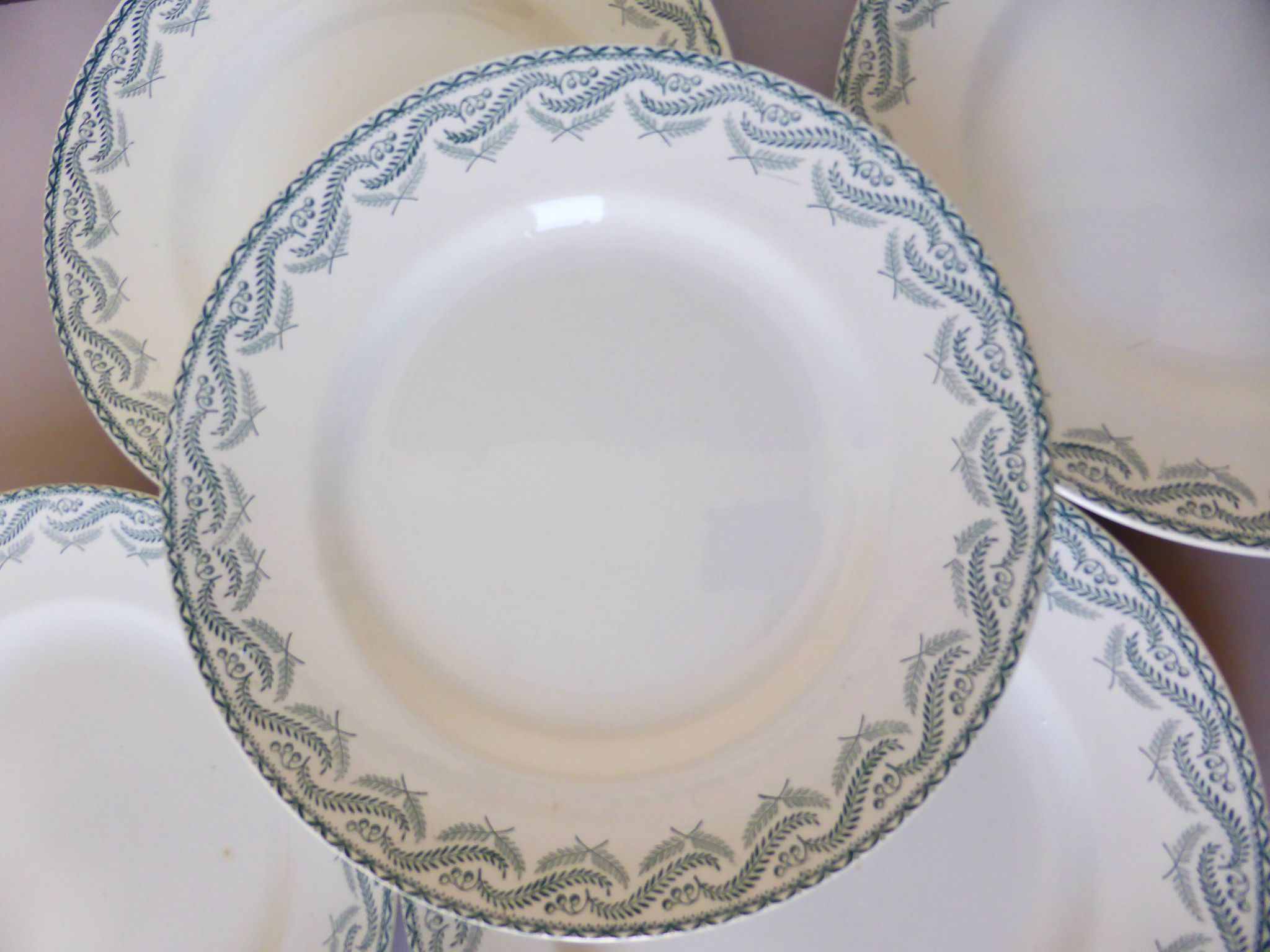 5 assiettes plates en terre de fer de St Amand modèle Réjane 210726