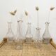 Set of 5 glass apothecary vials