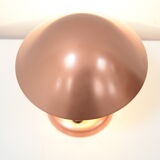 Bauhaus adjustable table lamp,1930