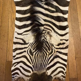 Real zebra skin