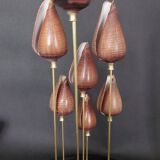 Cabinet of Curiosities shells conus figulinus