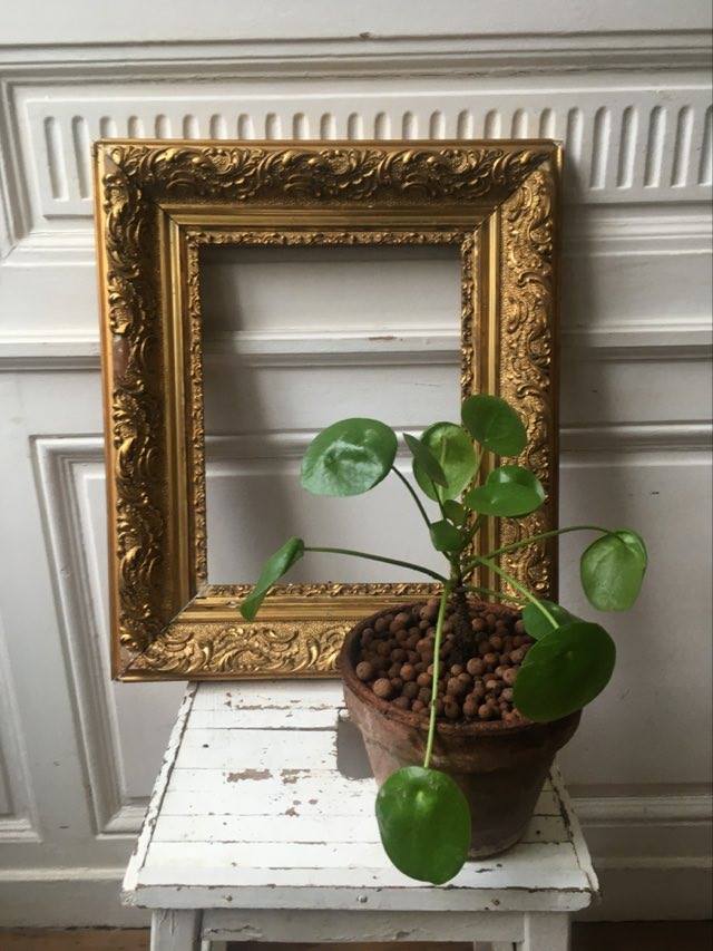 Old gilded wood frame