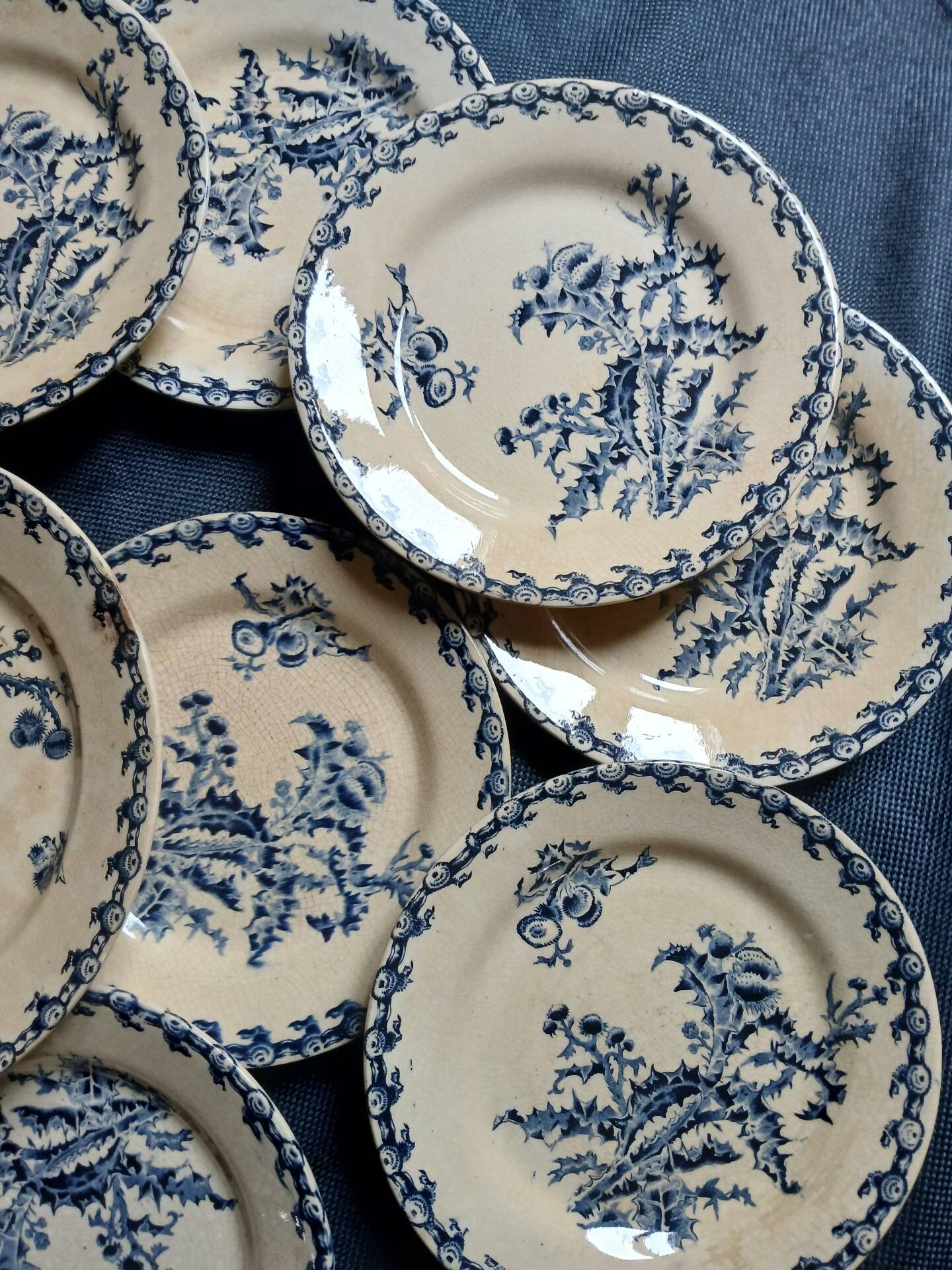 14 dinner plates + 2 "Chardons" dishes from Gien