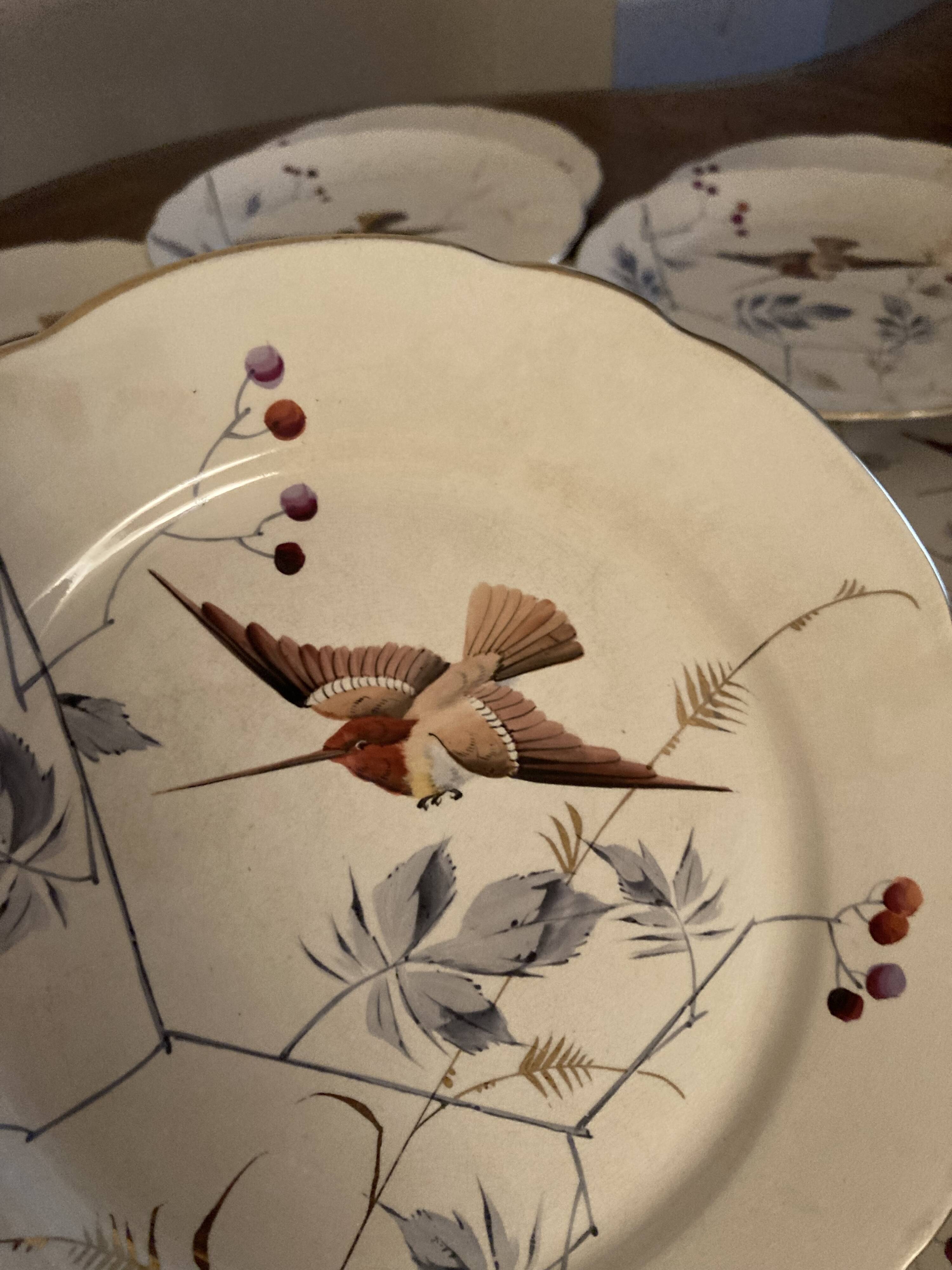 13 decorative plates with hummingbird design in fine earthenware by Mouzin Lecat, 19th century.