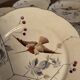 13 decorative plates with hummingbird design in fine earthenware by Mouzin Lecat, 19th century.