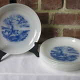 6 hollow plates from Arcopal in good condition