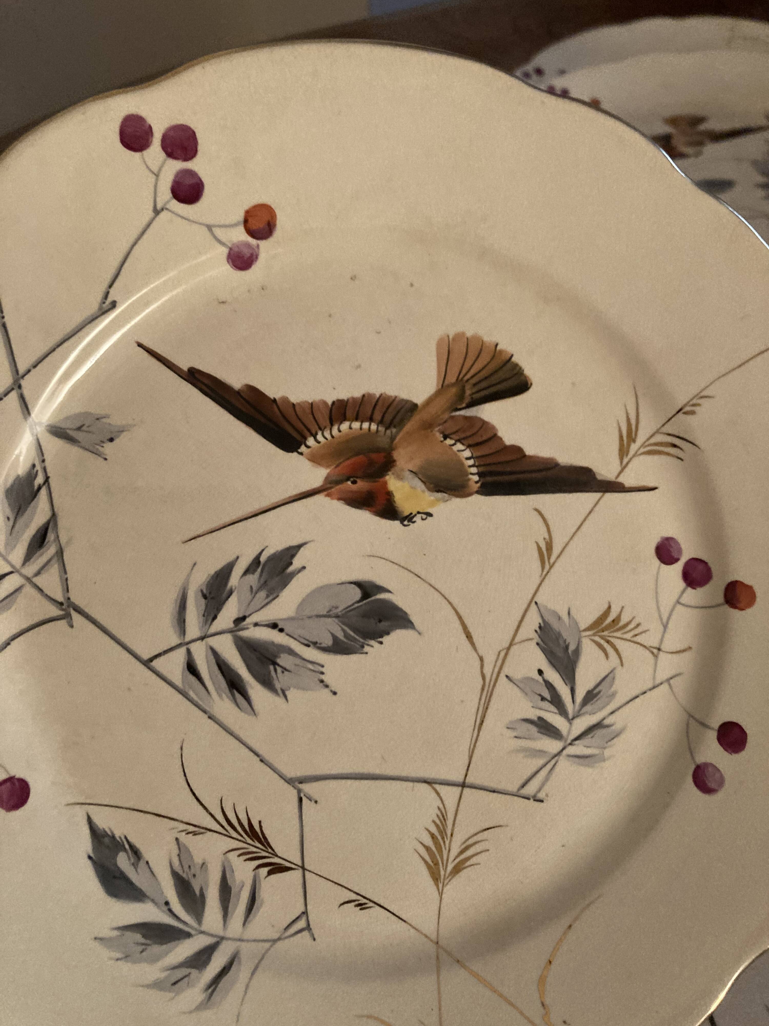 13 decorative plates with hummingbird design in fine earthenware by Mouzin Lecat, 19th century.