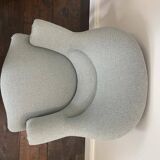 Small aquamarine toad