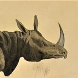 Original zoological frame engraving from 1839 " rhinoceros & hippopotamus "