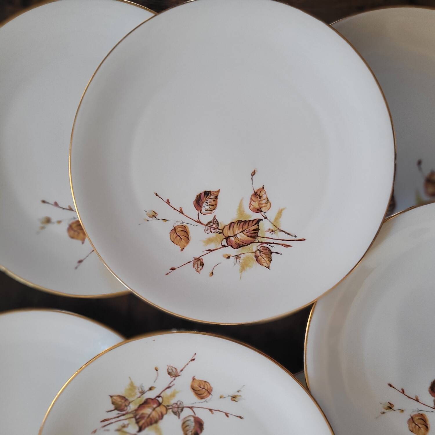 Assiettes à dessert & Plat Porcelaine Royal Émail de Vierzon