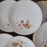 Assiettes à dessert & Plat Porcelaine Royal Émail de Vierzon