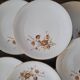 Dessert Plates & Serving Platter Royal Porcelain Vierzon Enamel