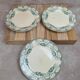 Set of 3 antique flat plates made of ironstone from the Debray Establishments, Clichy service.