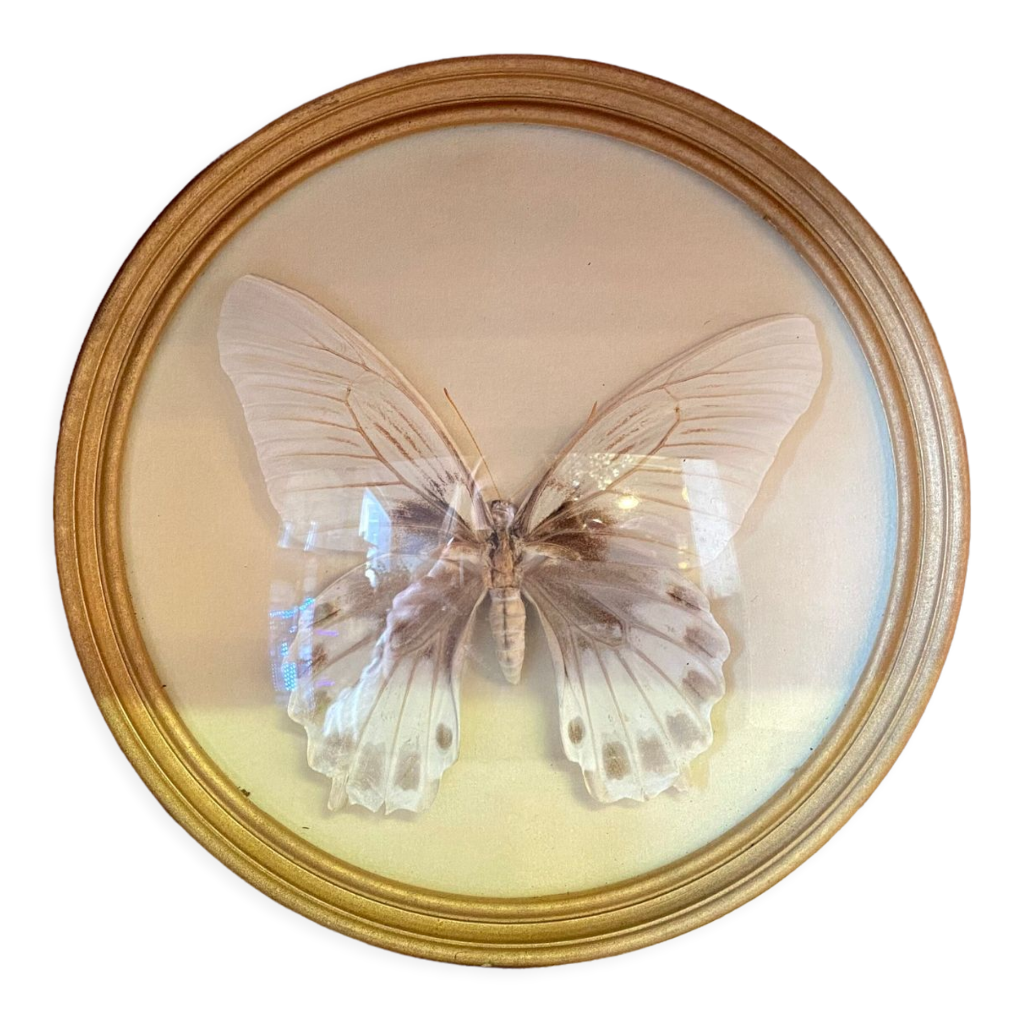 Butterfly frame