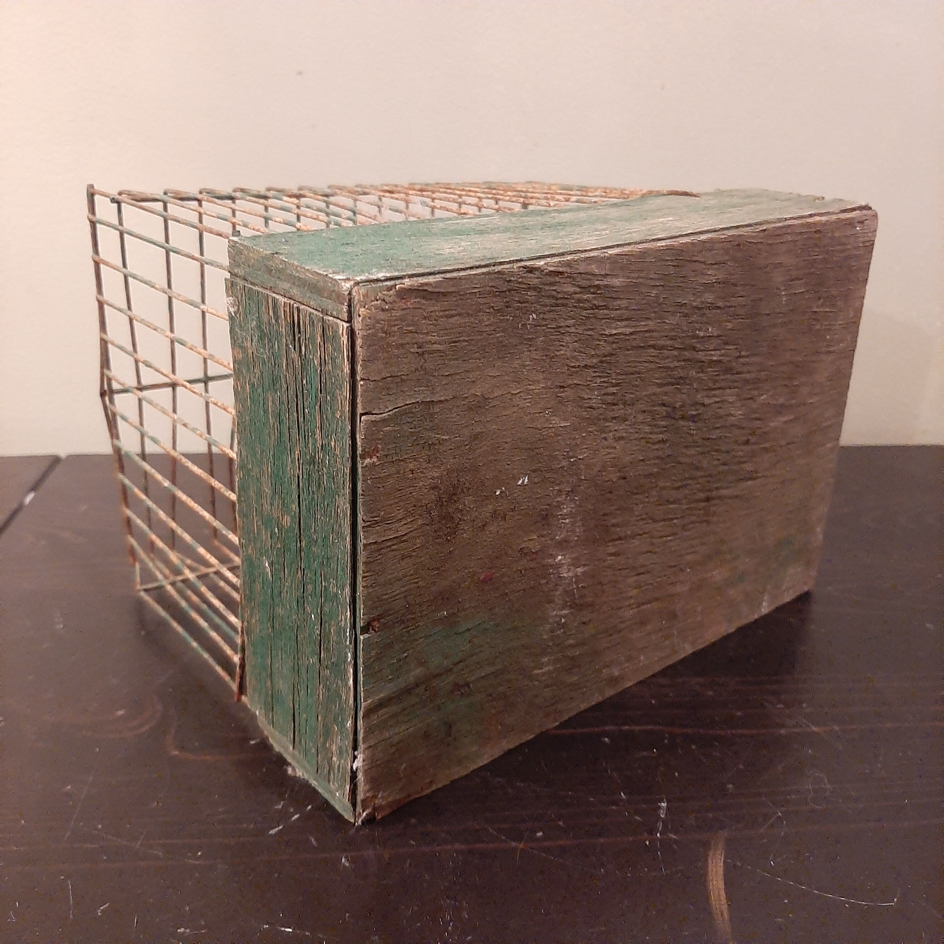 Cage à oiseaux