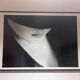 Michiel Ibelings " Monique " photograph