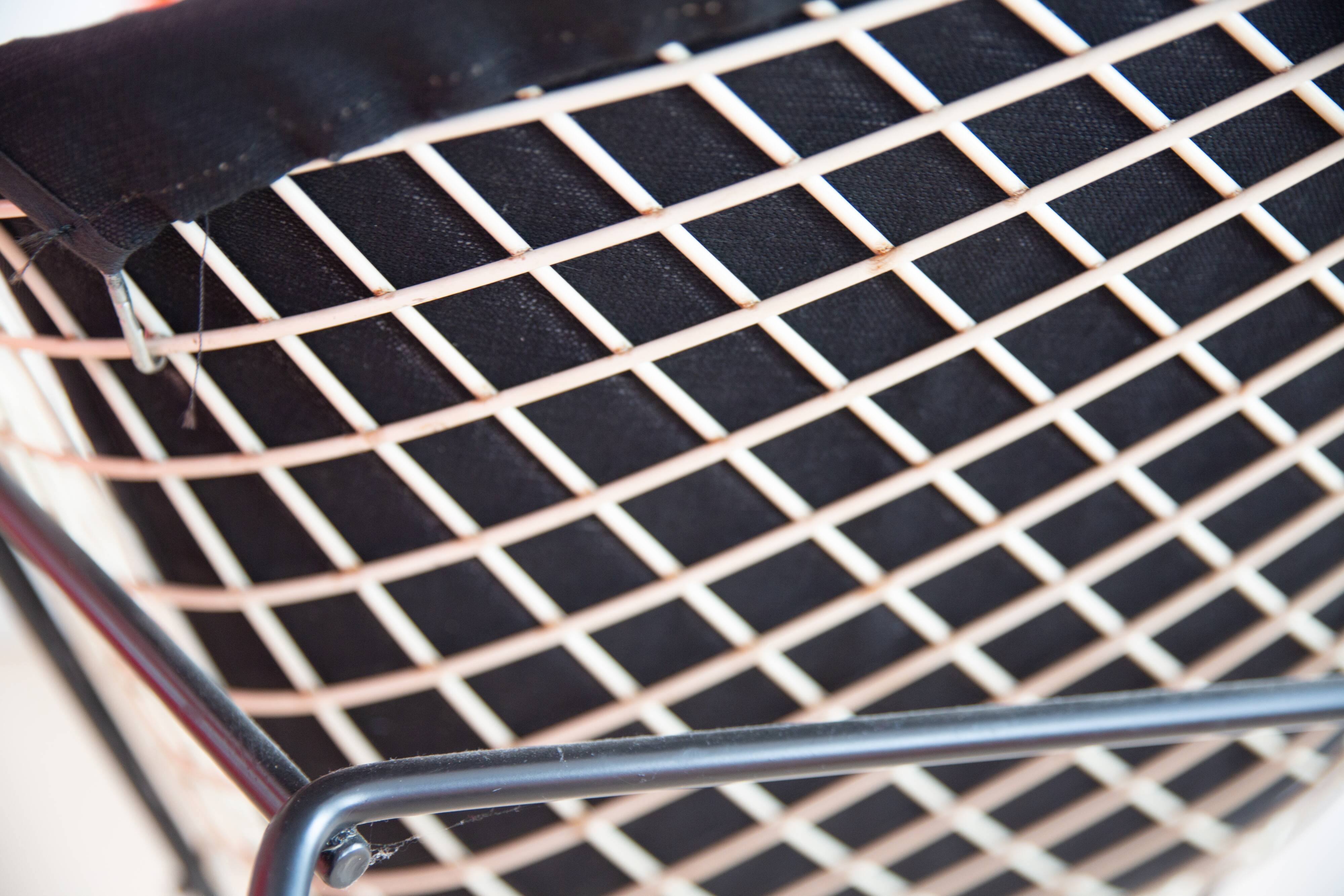 Fauteuil 421 Diamond par Harry Bertoia pour Knoll International