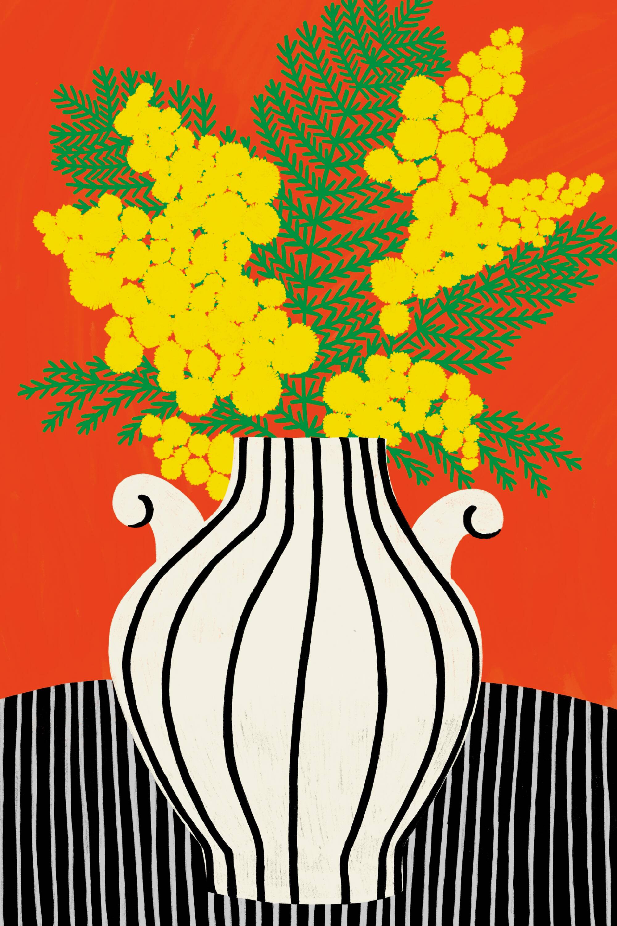 LE MIMOSA - illustration A3