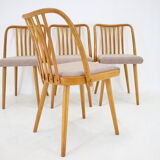 1970s Antonin Suman Set of 4 Oak Dining Chairs, Czechoslovakia