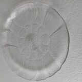 Set of 5 'Flowers' transparent plates by Arcoroc