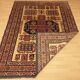 Tapis Caucasien Shirvan 250x180cm
