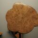Decorative Italian Burl Maple and Birch wood Side Tables. 1950s