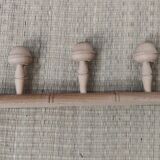Five-headed light wood hook