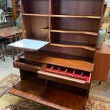 Scandinavian bookcase
