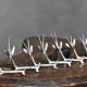 Oryx knife holder