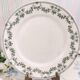 6 Badonviller Champagne flat plates