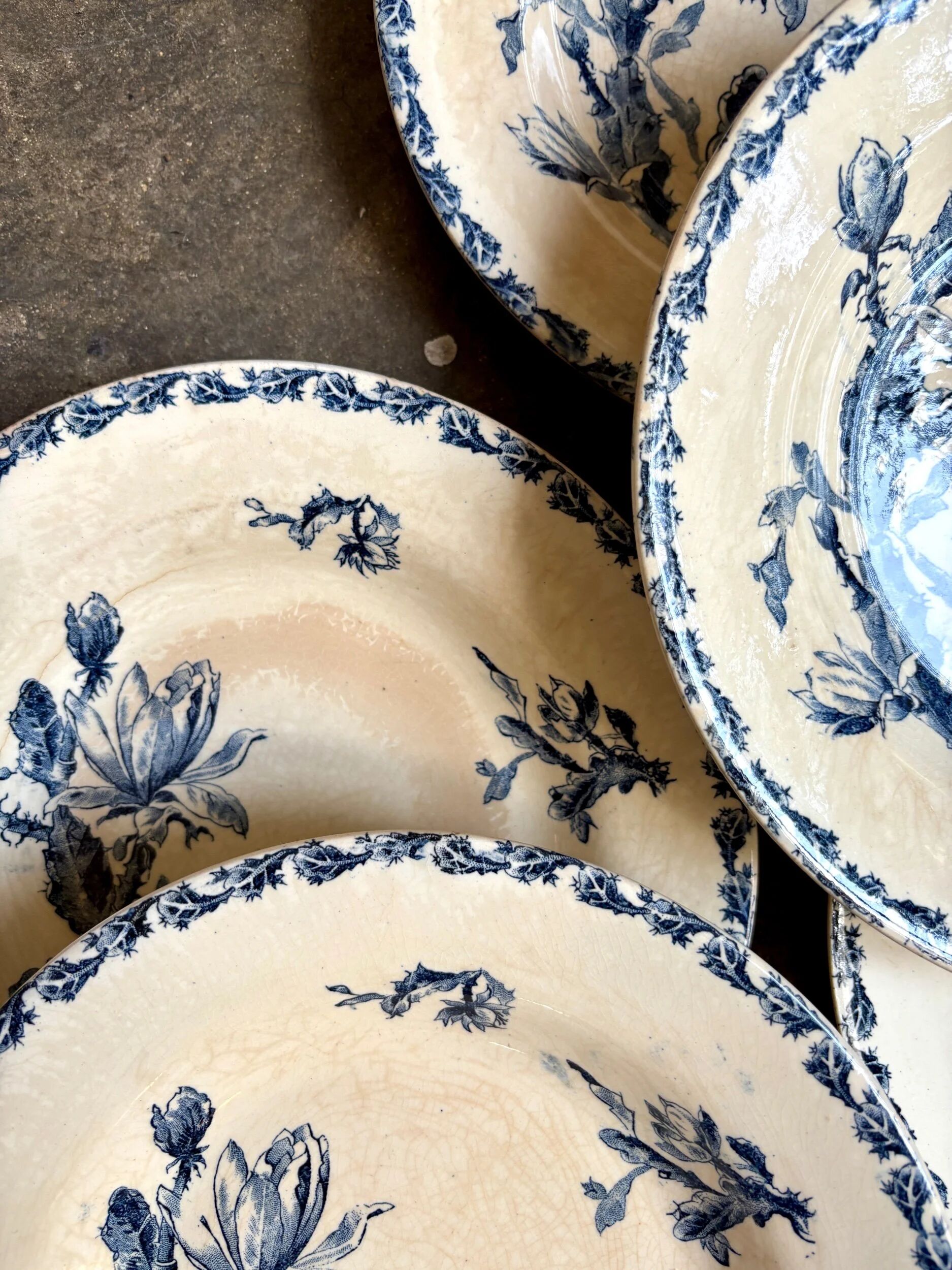 6 deep plates Gien in blue ironstone, "Cactus" service.