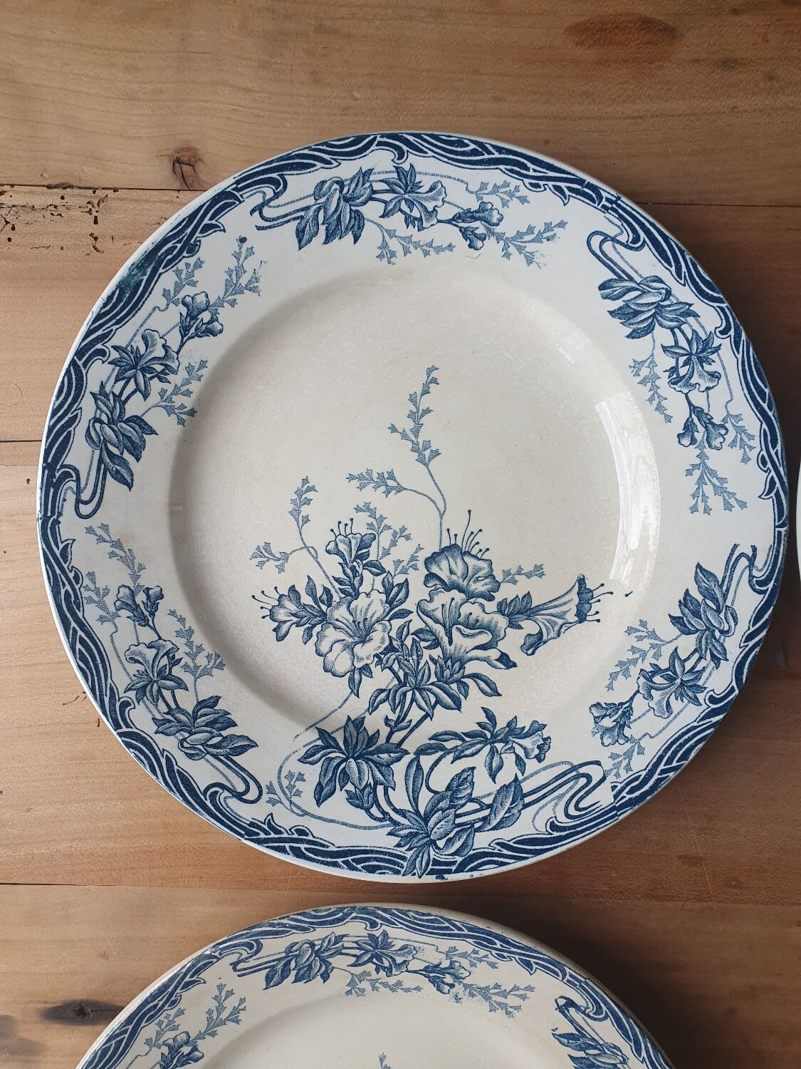 Longwy Azalea plates