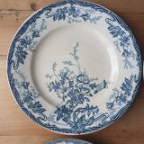 Longwy Azalea plates