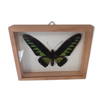 Butterfly frame