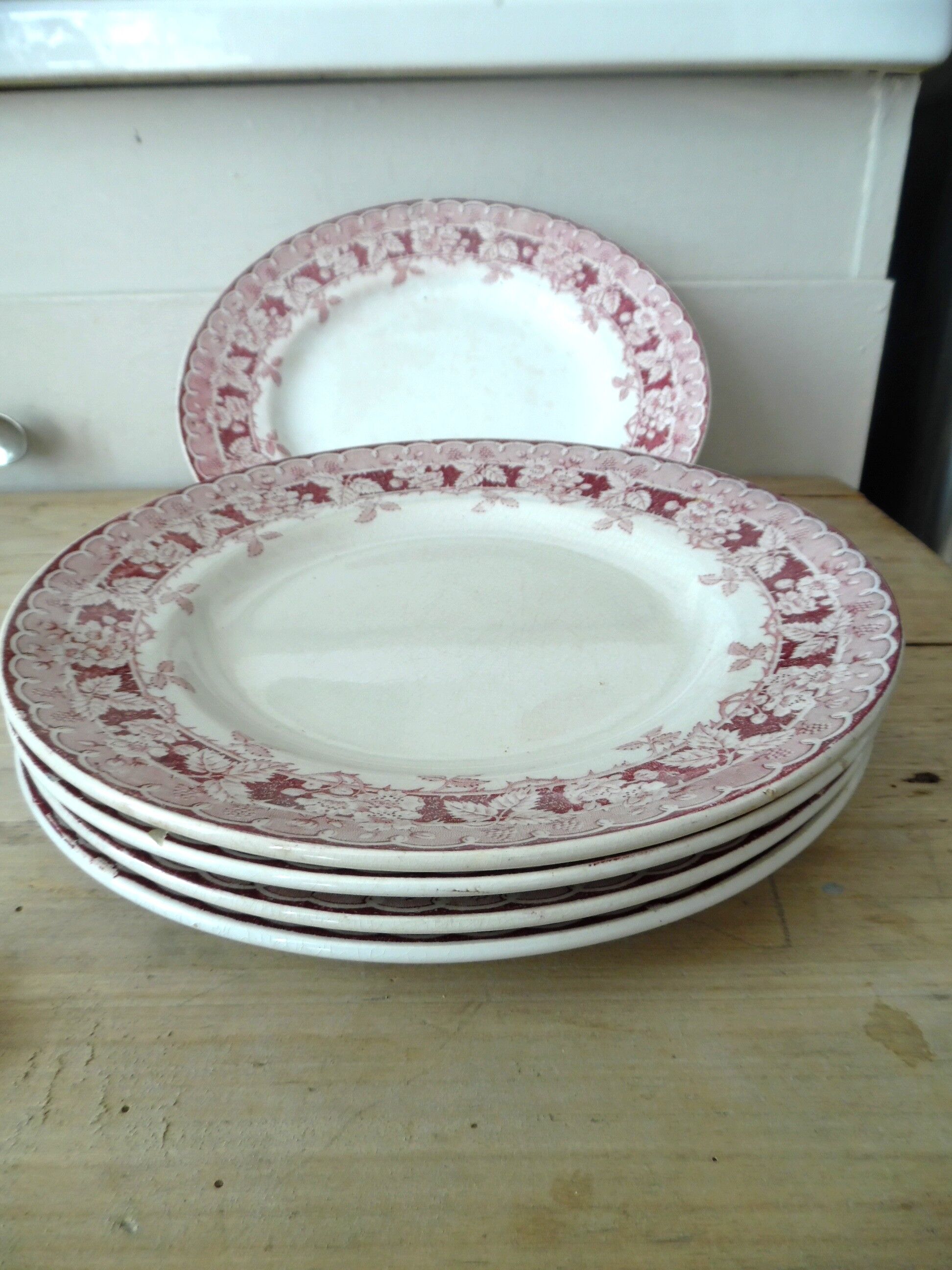 6 flat saint amand plates