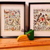 Lithograph engraving on eggs from 1928