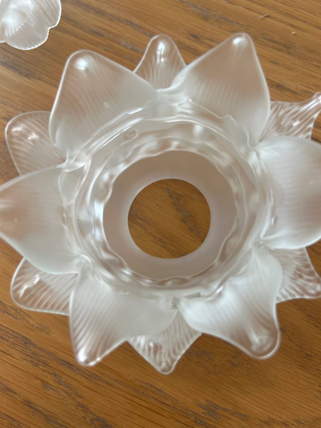 5 glass paste tulips