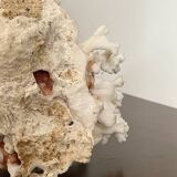 Natural branching coral.