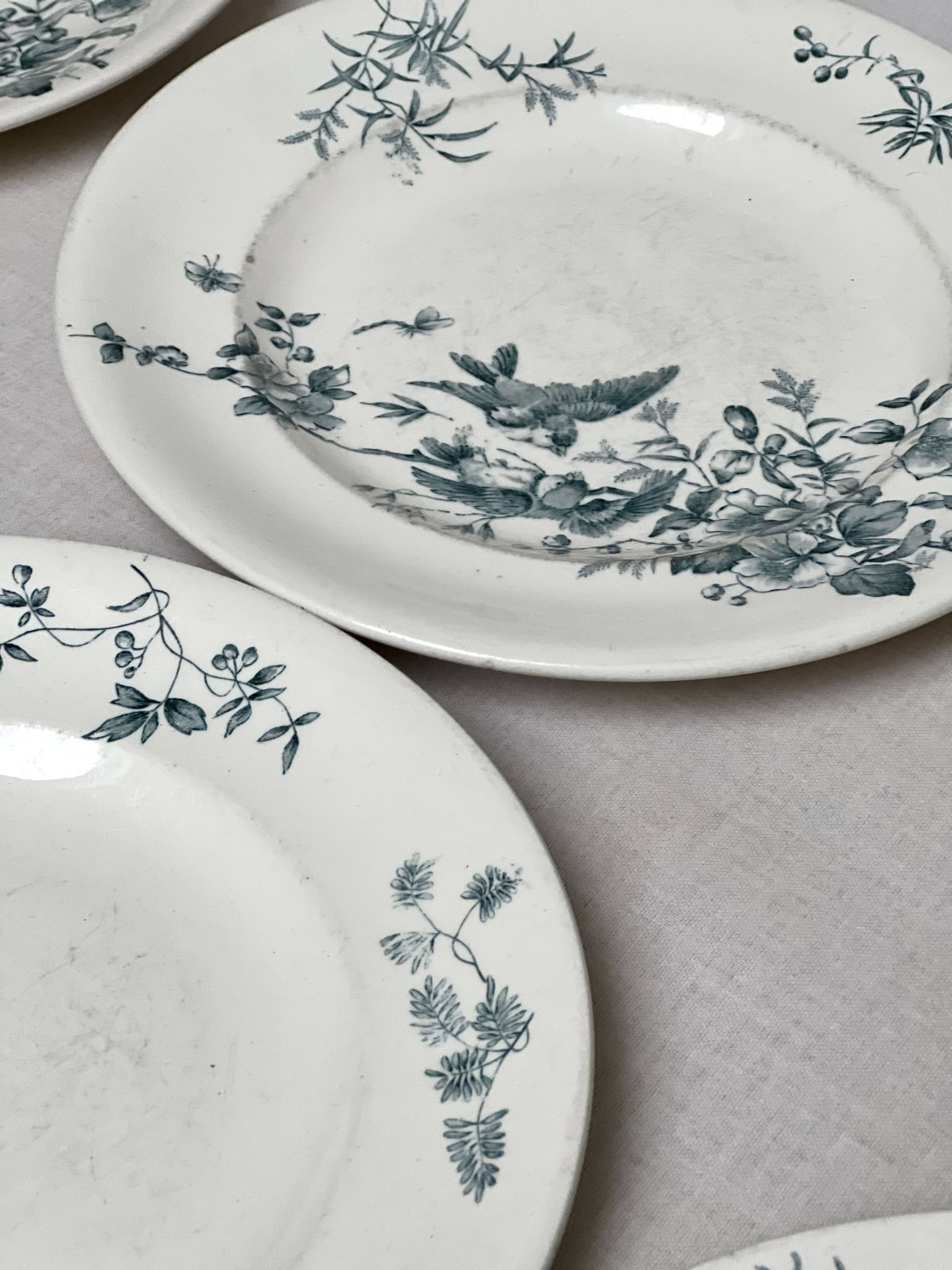 Iron earth plates birds Longwy